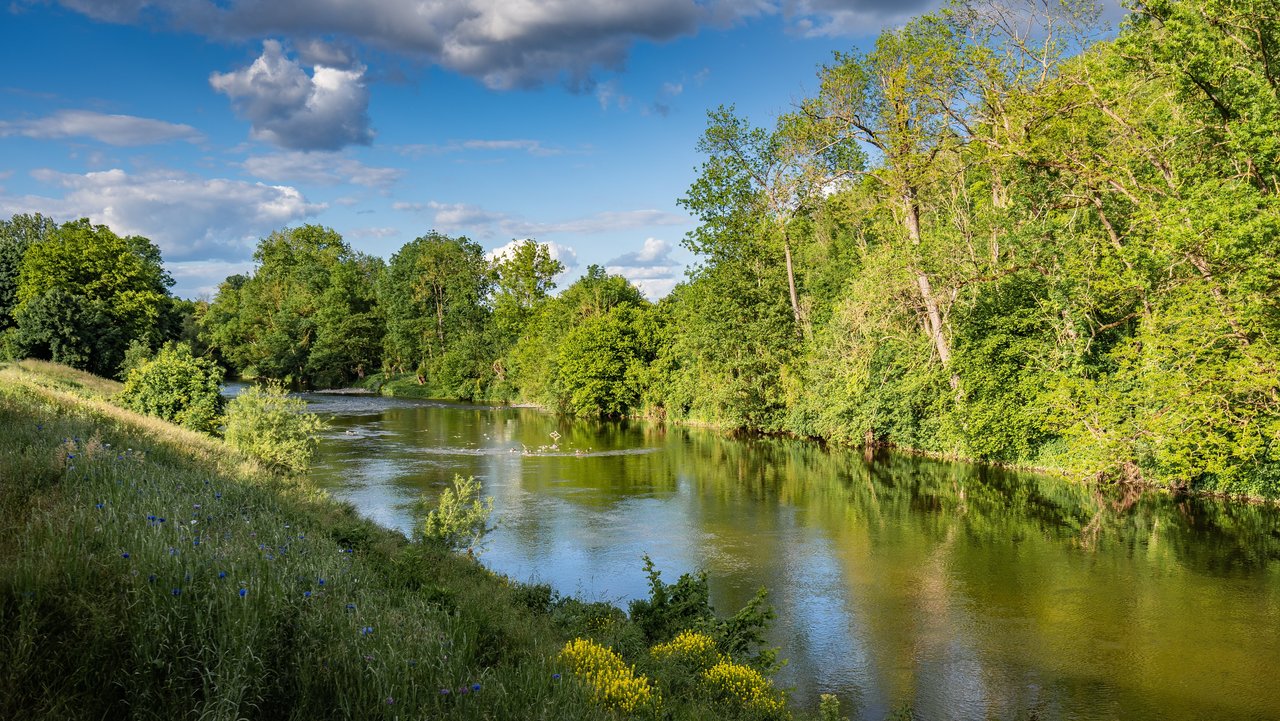 csm_AdobeStock_437518814_Flusslandschaft_Georg_Milasta_0d900f36cc